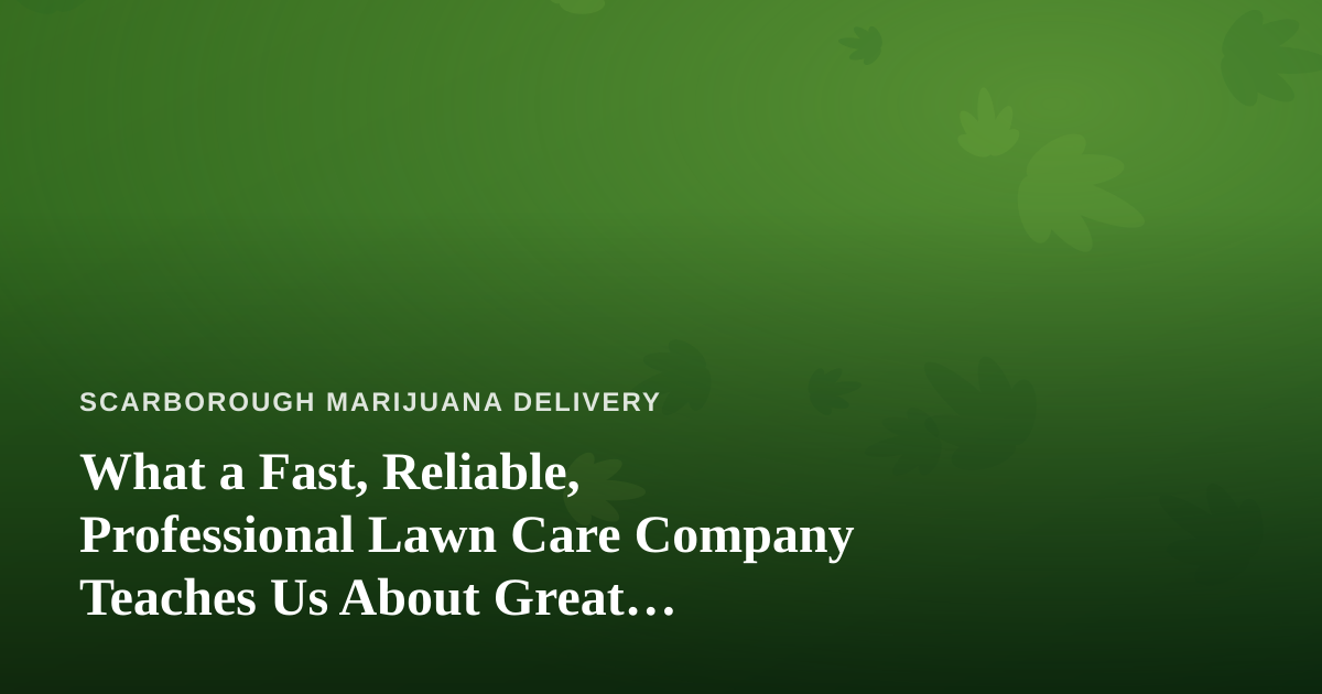 What a Fast, Reliable, Professional Lawn Care Company Teaches Us About Great Delivery Service